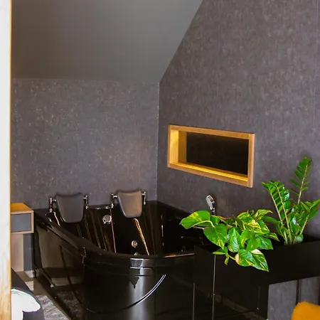 Twin Premium Apartmanhotel Tihany