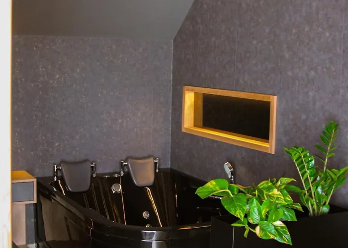 Twin Premium Apartmanhotel Tihany