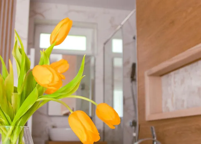 Apartmanhotel Twin Premium 4*